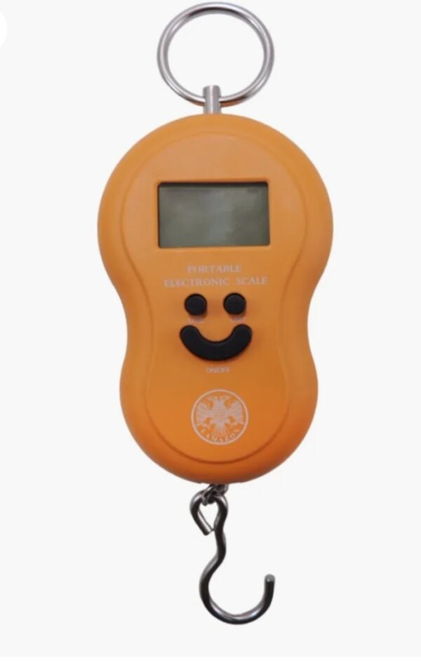 Balanca digital lamazon lm50 ate 50kg - Imagem 2